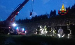 Incidente: 300 tacchini stecchiti sulla strada tra Canove e Roana