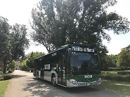 Viola il divieto e danneggia un bus: denunciato pregiudicato a Treviso