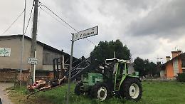 Lupi in Altopiano di Asiago: un allevatore espone la carcassa di mucca in strada per protesta
