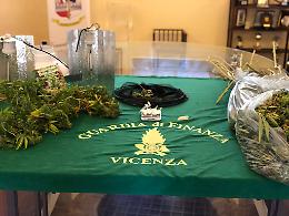 Beccato con 5 kg di marijuana e con la serra in casa
