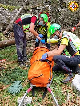 Gallio, boscaiolo colpito da un tronco durante il lavoro nel bosco