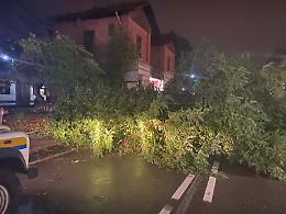Dolo, si affrontano i danni del maltempo di ieri