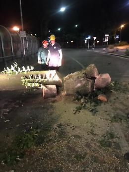 Treviso, maltempo trenta interventi della protezione civile