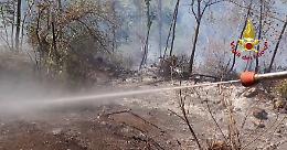 Incendio vicino al Lago di Fimon: fiamme circoscritte anche con l'elicottero