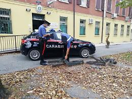 Nascondeva il rame rubato lungo l'argine del Po