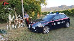Treviso, rinvenuti i 29 archi trafugati all'"Archery" Club
