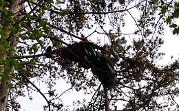 Parapendio precipita nel bosco: salva la pilota rimasta intrappolata a 10 metri dal suolo