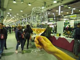 I vignaioli della Fivi organizzano anche nel Veneto un assaggio del mercato dei vini di Piacenza