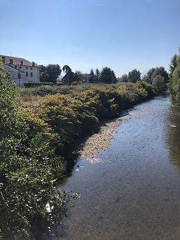 Vicenza, il Livelon è pieno di erbacce e spazzatura: la denuncia di Pupillo e Selmo