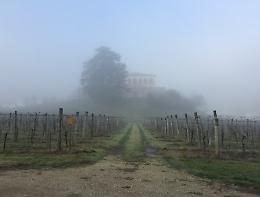 Halloween in Villa Dei Vescovi a Luvigliano di Torreglia con il Fai