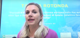 Vino dealcolato, Venturini: "Danni a settore vitivinicolo"
