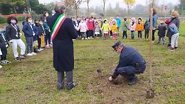 Rovigo, i carabinieri forestali celebrano la giornata dell'albero
