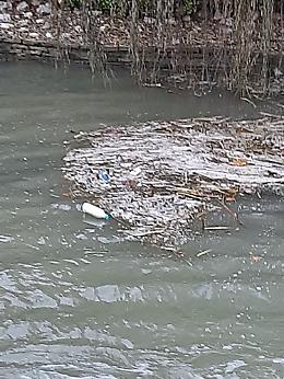 Zero Branco, il fiume Zero pieno di rifiuti: "Serve più senso civico"