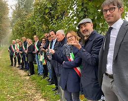 Sindaci all’opera tra i filari alla vendemmia del Friularo: “E’ il vino di Padova e dei padovani”