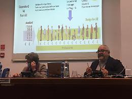 "Jesolo, destinazione Ospitalità Accessibile": il nuovo progetto turistico inclusivo