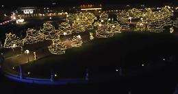 Tutta la magia di Padova illuminata a festa