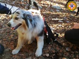 Crespadoro, cane salvato: Ula era caduta in un dirupo dove è rimasta un giorno intero