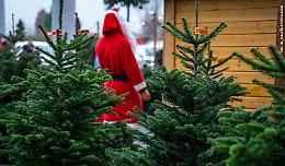 Vicenza, "Babbo Natale in moto": sabato raduno delle Ducati a Campo Marzo