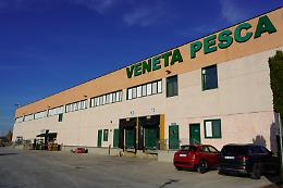 Veneta pesca: 50 anni di passione per il pesce