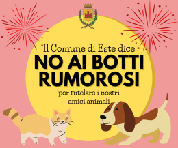 Anche Este dice no ai botti di Capodanno