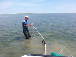 Pesca, ritardi di scavo nelle lagune del Delta: “A rischio l’occupazione”