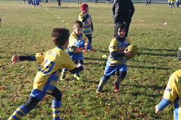 In festa i piccoli del Frassinelle minirugby