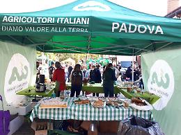 Nuovo mercato agricolo a Piove di Sacco