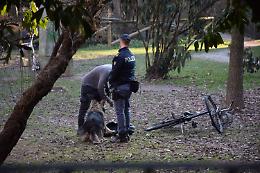 Controlli anti spaccio a Treviso: beccati due 40enni con cocaina