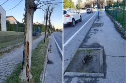 Zero Branco, Spolaore: "Più attenzione agli alberi lungo i marciapiedi"