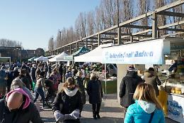 Mestre: un nuovo mercato al parco Bissuola