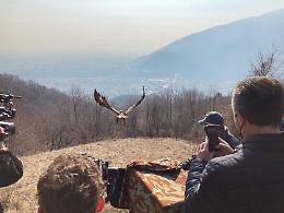 Cogollo del Cengio, liberata l'aquila curata per sei mesi al centro rapaci di Fagan a Fimon