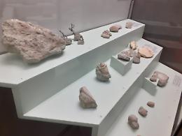 Vicenza, gli insegnanti di scienze naturali regalano un microscopio digitale al museo di santa Corona