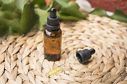 Olio di Cbd: i consigli per un perfetto dosaggio