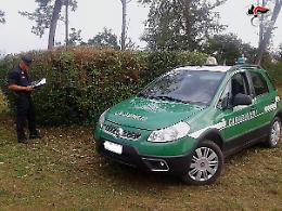 Mira: si è svolta l'operazione "Anello mancante"