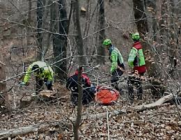 Lusiana Conco, boscaiolo colpito da un tronco al torace perde i sensi