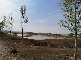 Vicenza, al parco della pace si piantano gli alberi in memoria delle vittime del ponte Morandi