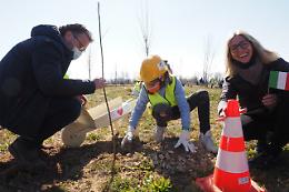 Vicenza, al parco della Pace piantati 43 alberi in ricordo delle vittime del ponte Morandi a Genova