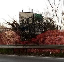 Vicenza, in via Moro un cartello stradale da tempo &egrave; coperto dalla vegetazione