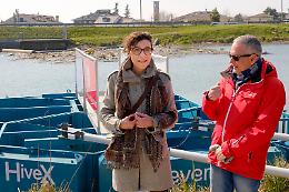 Padova. Per la prima volta in Italia una piattaforma per ripulire i fiumi