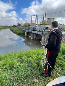 Conselve: 65enne tenta il suicidio, salvata dai Carabinieri