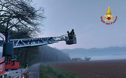 Arcugnano, i pompieri mettono in sicurezza alcune piante i cui rami erano vicini alle linee elettriche