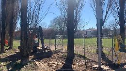Cadoneghe, area cani: in arrivo nuovo cancelletto con accesso tramite tessera