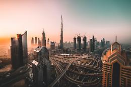 Emirati Arabi nel Futuro, fra arte e primati