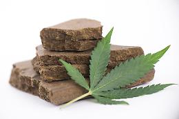 Treviso, ULSS 2 chiarisce sull&rsquo;ingestione di hashish da parte di una bambina di 10 mesi