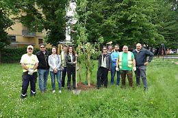Padova. Obiettivo raggiunto:10.000 alberi piantati in città