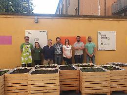Rovigo, inaugurato l'orto urbano all'Innovation Lab