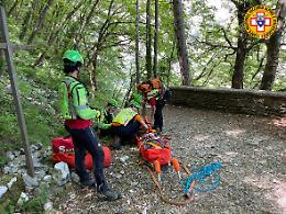 Incidente sul sentiero del Pellegrino: s'infortuna una donna di Lonigo