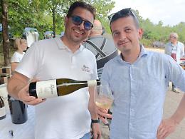 Alonte, successo del "Sabato del vignaiolo" della Fivi grazie a vini sinceri e di qualità