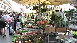Montegrotto in fiore: domenica 8 maggio dalle 9 al tramonto