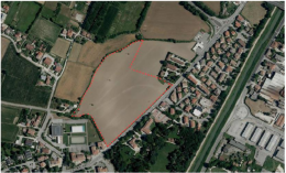 Padova. Un nuovo bosco urbano di 25.000 metri quadri